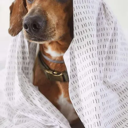 Scirocco St Julians Affiliated By Melia 3*