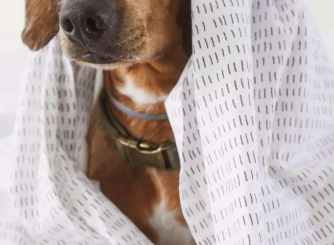 Scirocco St Julians Affiliated By Melia 3*